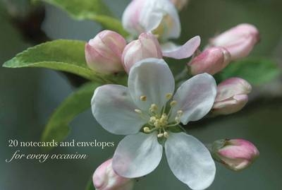 Cardbox of 20 Notecards and Envelopes: Apple Blossom -  Peony Press