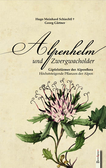 Alpenhelm und Zwergwacholder - Georg G&auml;rtner