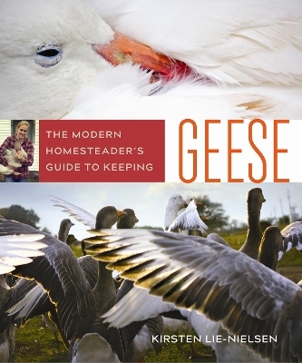 The Modern Homesteader's Guide to Keeping Geese - Kirsten Lie-Nielsen
