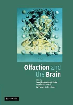 Olfaction and the Brain - 