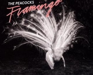 Flamingo, 1 Audio-CD