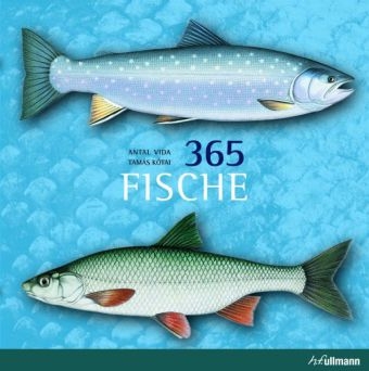 365 Fische - Antal Vida