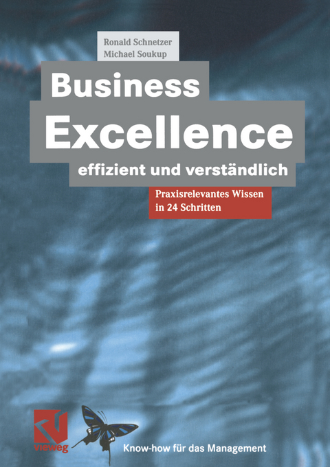 Business Excellence effizient und verst&auml;ndlich - Ronald Schnetzer, Michael Soukup