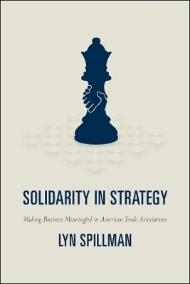 Solidarity in Strategy - Lyn Spillman