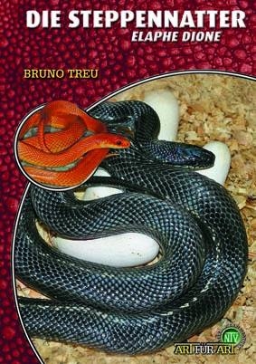 Die Steppennatter - Bruno Treu