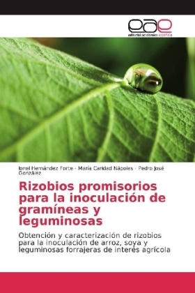 Rizobios promisorios para la inoculaci&oacute;n de gram&iacute;neas y leguminosas - Ionel Hern&aacute;ndez Forte, Mar&iacute;a Caridad N&aacute;poles, Pedro Jos&eacute; Gonz&aacute;lez