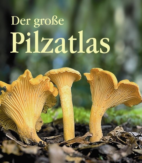 Der gro&szlig;e Pilzatlas - Jean L Lamaison, Jean M Polese