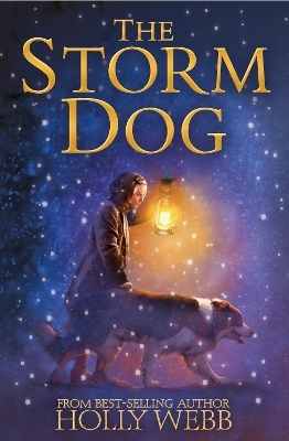 The Storm Dog - Holly Webb