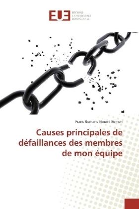 Causes principales de d&eacute;faillances des membres de mon &eacute;quipe - Franc Romaric Noumi Somen