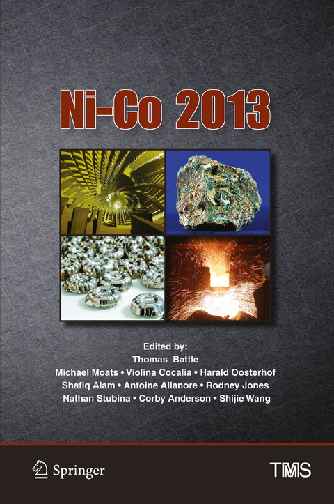 Ni-Co 2013 - 