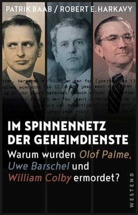 Im Spinnennetz der Geheimdienste - Patrik Baab, Robert E. Harkavy