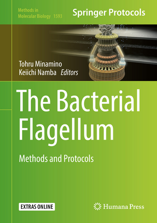 The Bacterial Flagellum