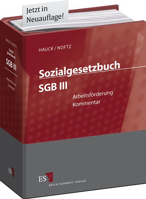 Sozialgesetzbuch (SGB) - Gesamtkommentar / Sozialgesetzbuch (SGB) II: Grundsicherung f&uuml;r Arbeitsuchende - Abonnement - Felix Clau&szlig;, Malte W. F&uuml;gemann, Dietrich Hengelhaupt, Sven-Helge Jork, Karen Krau&szlig;, Ernst-Wilhelm Luthe, Imme Caroline M&uuml;ller, Leandro Valgolio, Thomas Voelzke