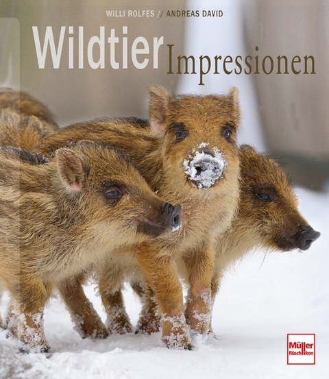 Wildtier-Impressionen - Willi Rolfes, Andreas David