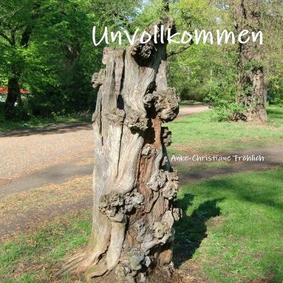 Unvollkommen - Anke-Christiane Frohlich