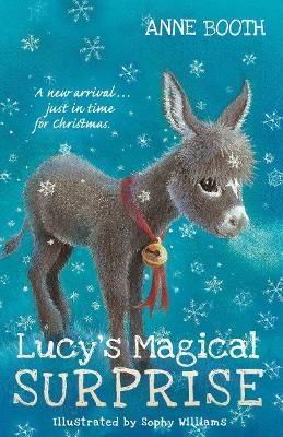 Lucy's Magical Surprise - Anne Booth