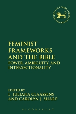 Feminist Frameworks and the Bible - 