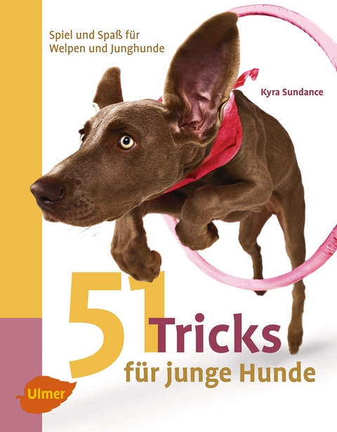 51 Tricks f&uuml;r junge Hunde - Kyra Sundance