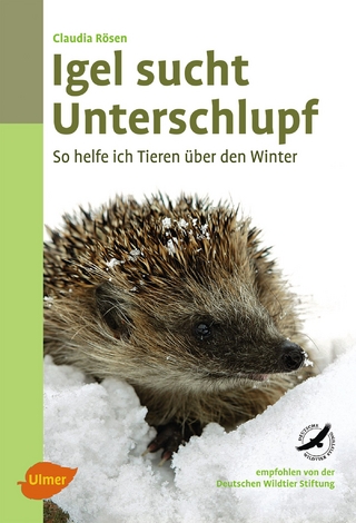 Igel sucht Unterschlupf