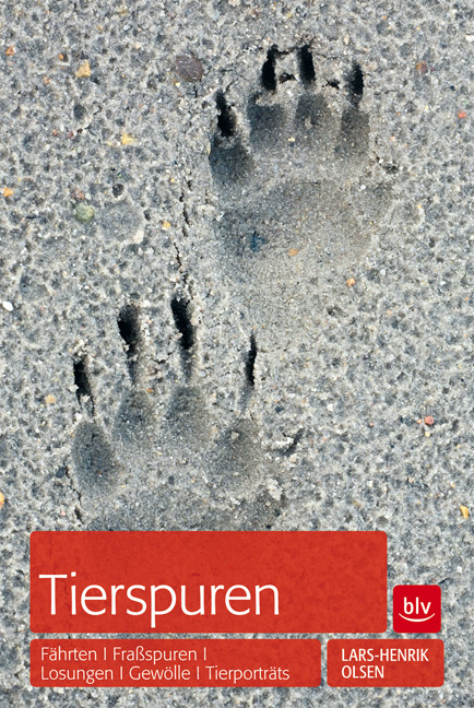 Tierspuren - Lars-Henrik Olsen