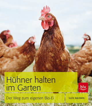 Hühner halten im Garten