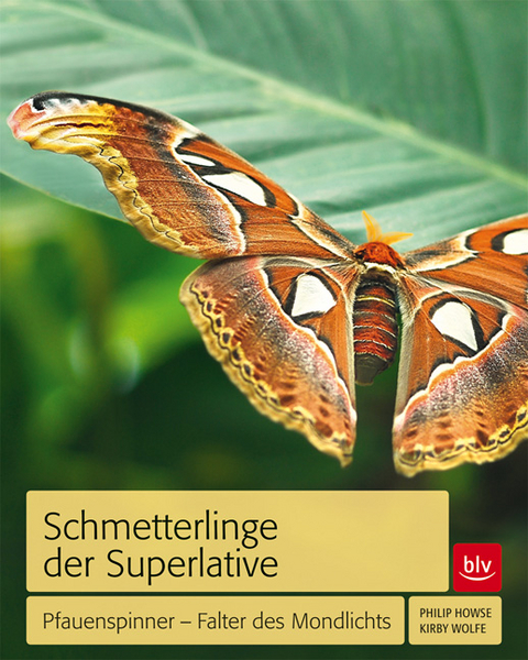 Schmetterlinge der Superlative - Kirby Wolfe, Philip Howse