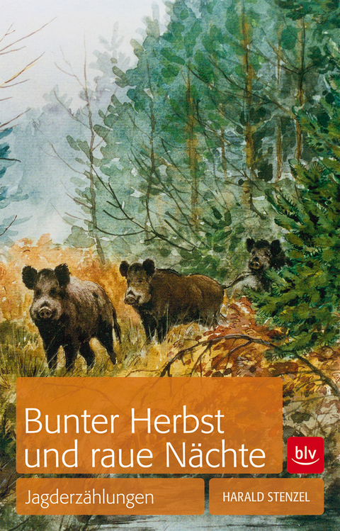 Bunter Herbst und raue N&auml;chte - Harald Stenzel