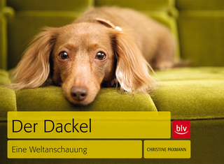 Der Dackel