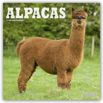 Alpacas 2018 -  Avonside Publishing Ltd
