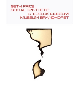 Seth Price. Social Synthetic