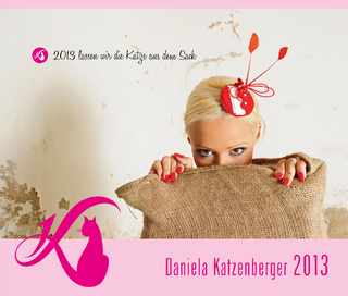 Katzenberger Wandkalender 2013