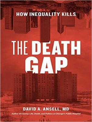 The Death Gap - David A. Ansell