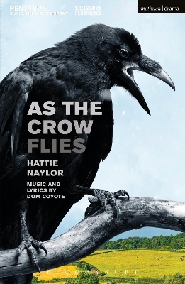 As the Crow Flies - Hattie Naylor