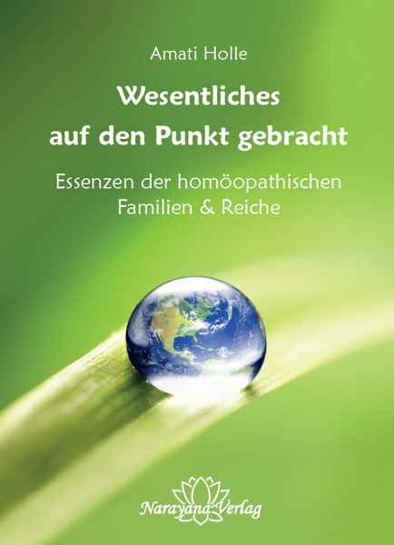 Wesentliches auf den Punkt gebracht - Amati Holle