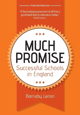 Much Promise: Successful Schools in England - Barnaby Lenon
