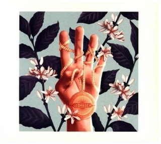 Leoniden, 1 Audio-CD