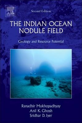 The Indian Ocean Nodule Field