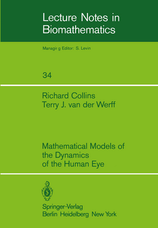 Mathematical Models of the Dynamics of the Human Eye