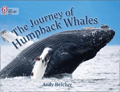 The Journey of Humpback Whales - Andy Belcher