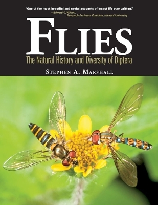 Flies - Stephen A. Marshall