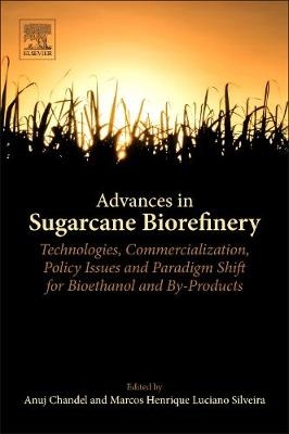 Advances in Sugarcane Biorefinery - 