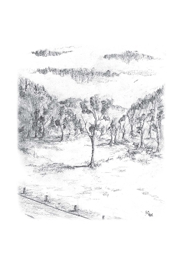 A Look at Life from a Deer Stand (Milano Softone)