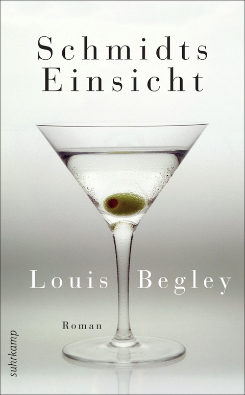 Schmidts Einsicht - Louis Begley