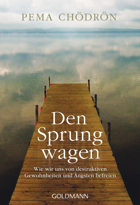 Den Sprung wagen - Pema Ch&ouml;dr&ouml;n
