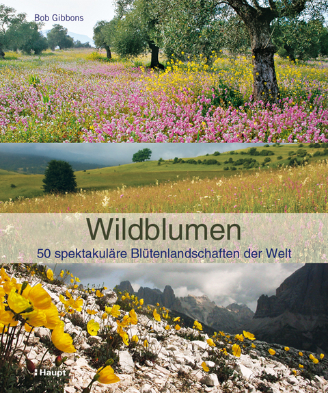 Wildblumen - Bob Gibbons