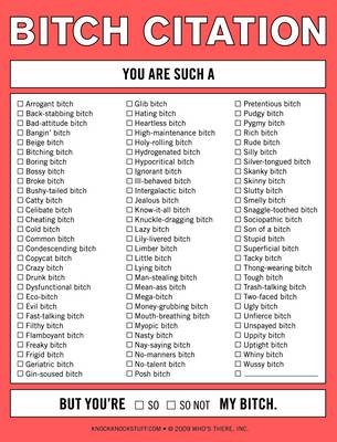 Knock Knock Nifty Note: Bitch Citation - 