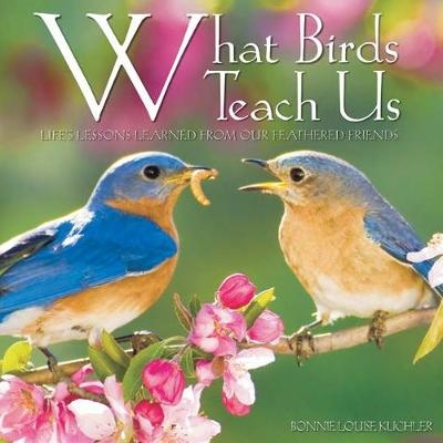 What Birds Teach Us -  Kuchler Bonnie Louise