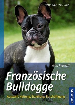 Französische Bulldogge