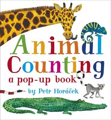 Animal Counting - Petr Horacek
