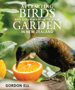 Attracting Birds and Other Wildlife to Your Garden